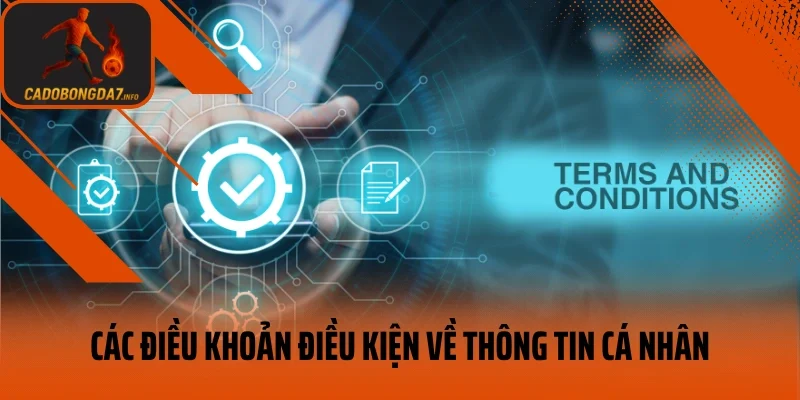 Các điều khoản điều kiện về thông tin cá nhân của Cadobongda7