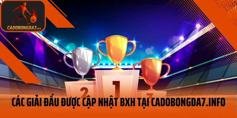 Các giải đấu được cập nhật bảng xếp hạng tại veneta.jpn.com