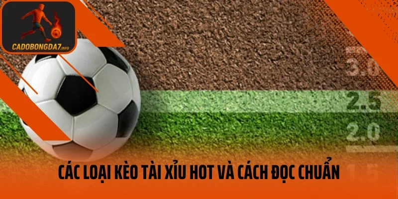 Các loại kèo tài xỉu hot và cách đọc chuẩn