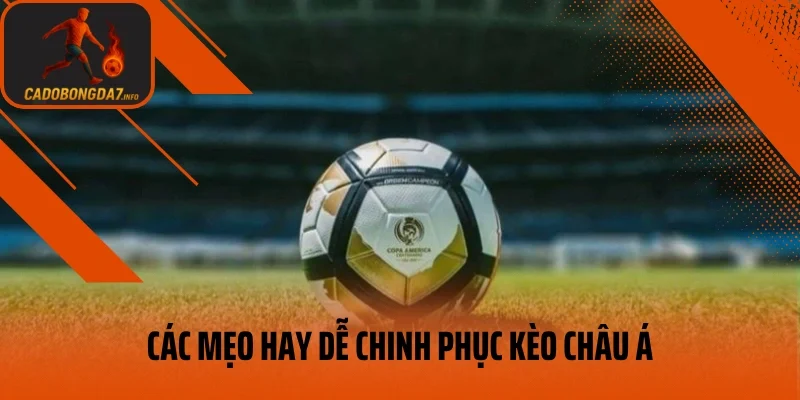 Các mẹo hay dễ chinh phục kèo châu Á