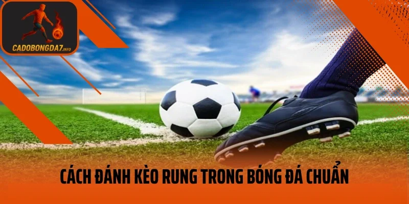 Cách đánh kèo rung trong bóng đá chuẩn