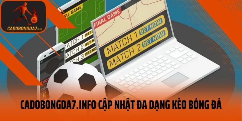 veneta.jpn.com cập nhật đa dạng kèo bóng đá