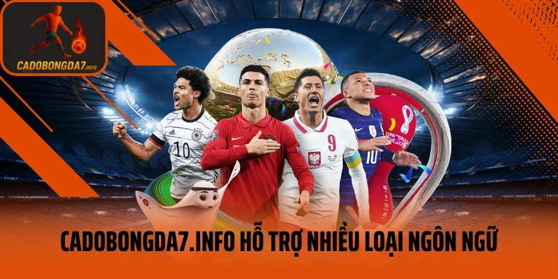 Cadobongda7.info hỗ trợ nhiều loại ngôn ngữ