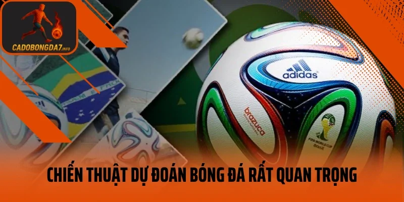 Chiến thuật dự đoán bóng đá rất quan trọng