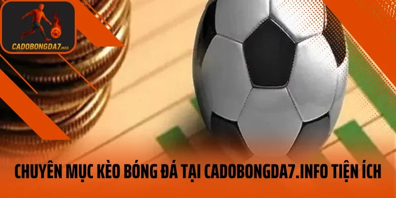 Chuyên mục kèo bóng đá tại veneta.jpn.com tiện ích