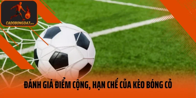 Đánh giá điểm cộng, hạn chế của kèo bóng cỏ