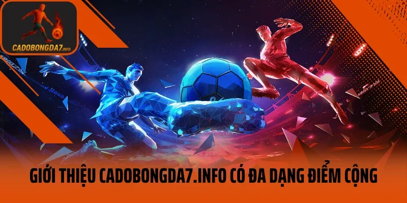Giới thiệu Cá Độ Bóng Đá có đa dạng điểm cộng