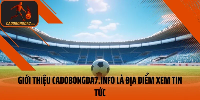 Giới thiệu Cá Độ Bóng Đá là địa điểm uy tín xem tin tức