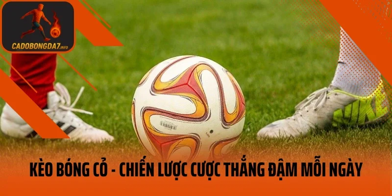 Kèo Bóng Cỏ – Chiến Lược Cược Thắng Đậm Mỗi Ngày
