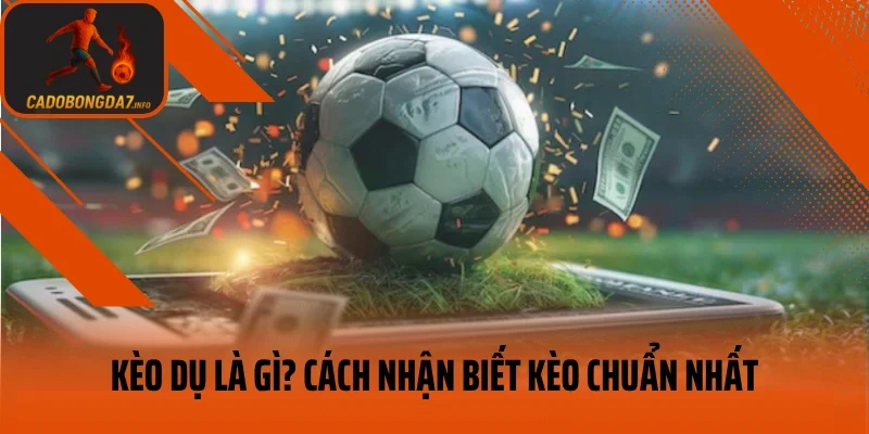 Kèo Dụ Là Gì? Gợi Ý Cách Nhận Biết Kèo Cược Dụ Chuẩn Nhất