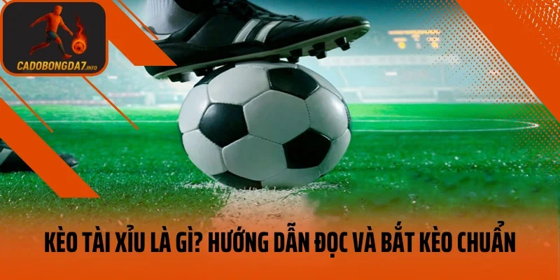 Kèo Tài Xỉu Là Gì? Hướng Dẫn Đọc Và Bắt Kèo Chuẩn