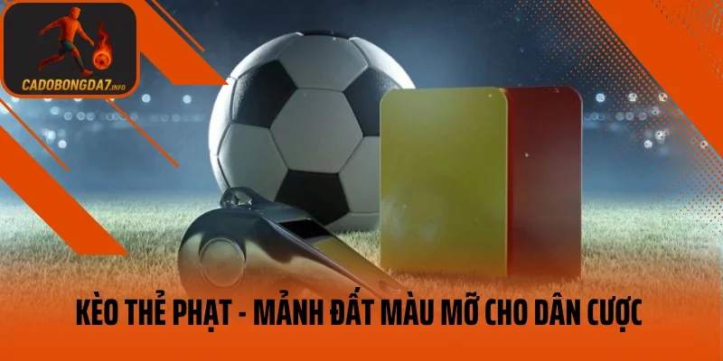 Kèo Thẻ Phạt – Mảnh Đất Màu Mỡ Cho Dân Cược Thông Minh