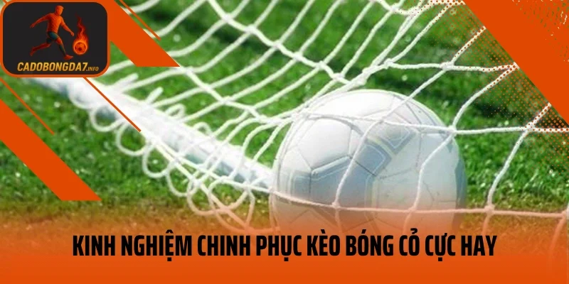 Kinh nghiệm chinh phục kèo bóng cỏ cực hay