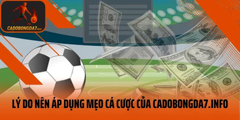 Lý do nên áp dụng mẹo cá cược của veneta.jpn.com