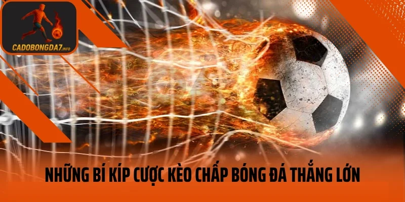 Những bí kíp cược kèo chấp bóng đá thắng lớn
