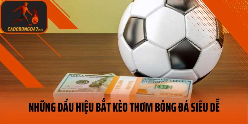 Những dấu hiệu bắt kèo thơm bóng đá siêu dễ
