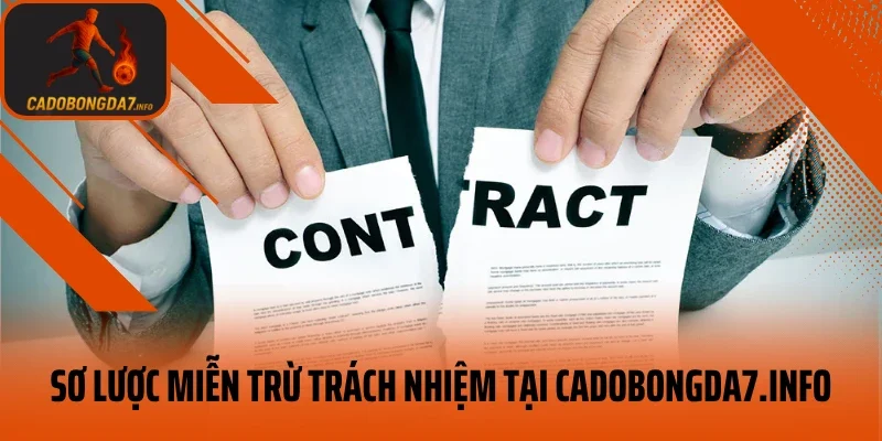 Sơ lược miễn trừ trách nhiệm tại veneta.jpn.com
