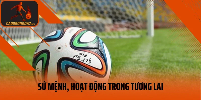 Sứ mệnh, hoạt động trong tương lai của veneta.jpn.com