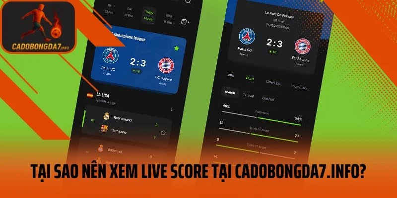 Tại sao nên xem Live Score tại Cadobongda7.info