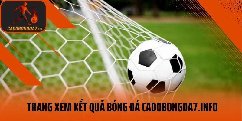 Thông tin cơ bản về trang xem kết quả bóng đá veneta.jpn.com