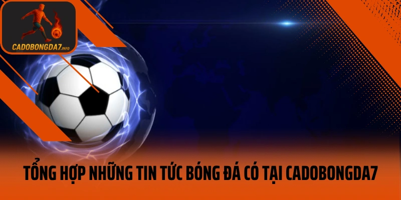 Tổng hợp những tin tức bóng đá có tại veneta.jpn.com