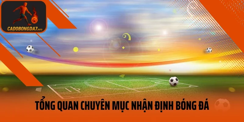 Tổng quan chuyên mục nhận định bóng đá