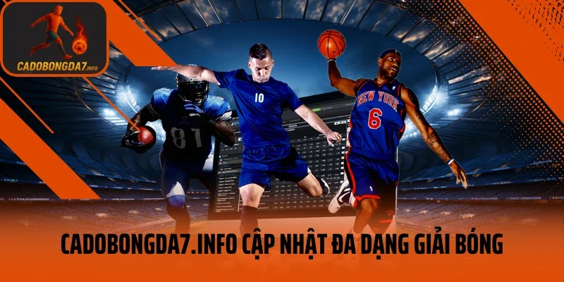 Trang veneta.jpn.com cập nhật đa dạng giải bóng