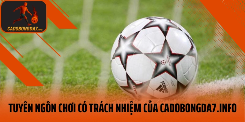 Tuyên ngôn chơi có trách nhiệm của veneta.jpn.com